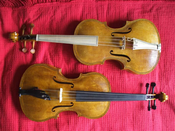 Violes bessones 2015