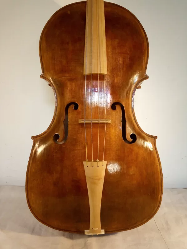 Violoncel barroc 2019